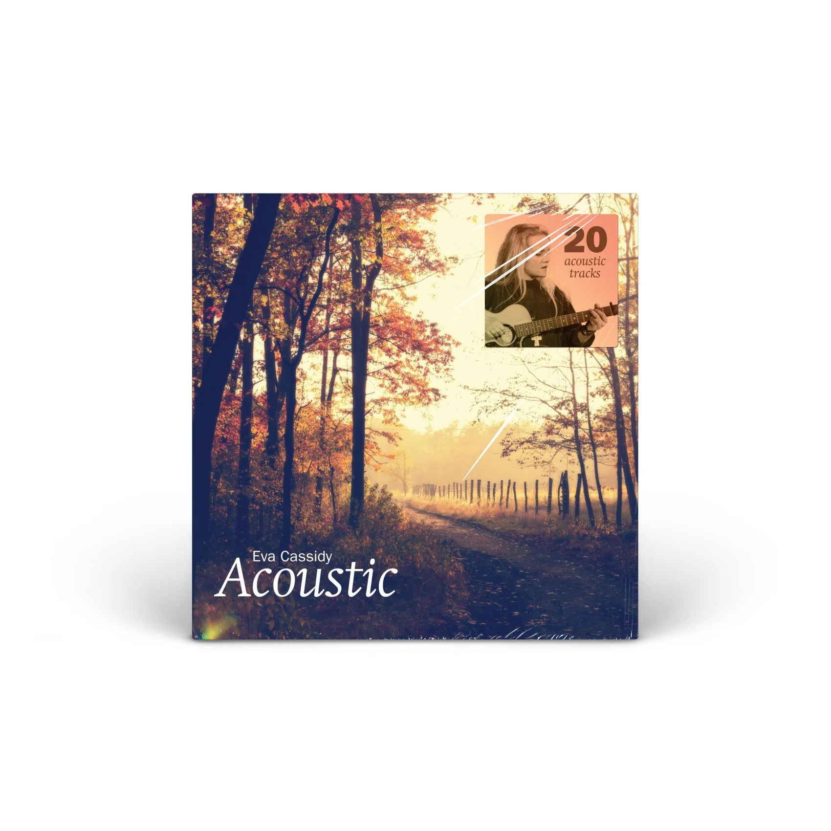 Acoustic (2LP 180g vinyl) Vinyl [2LP]