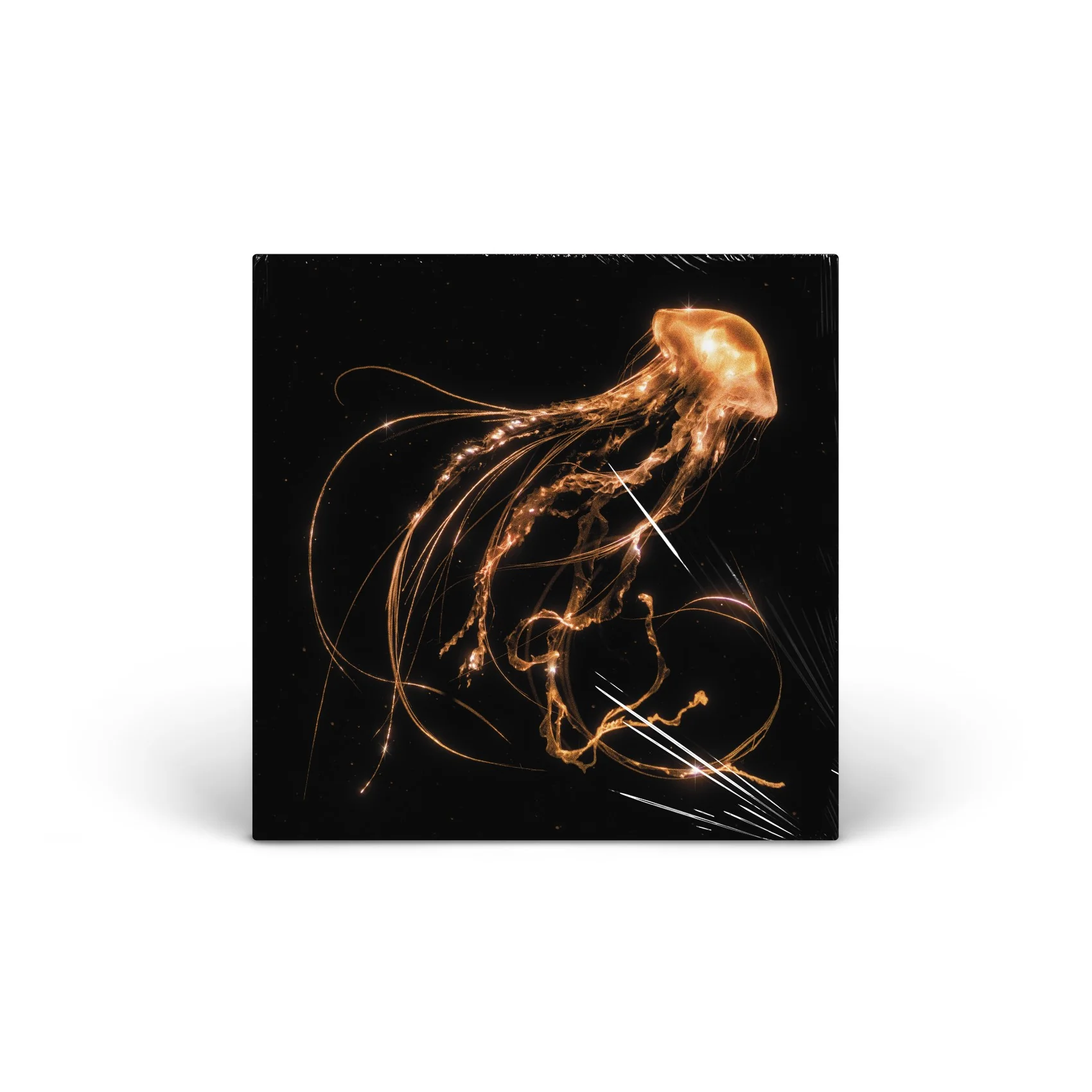 Back To The Water Below Vinyl [LP]