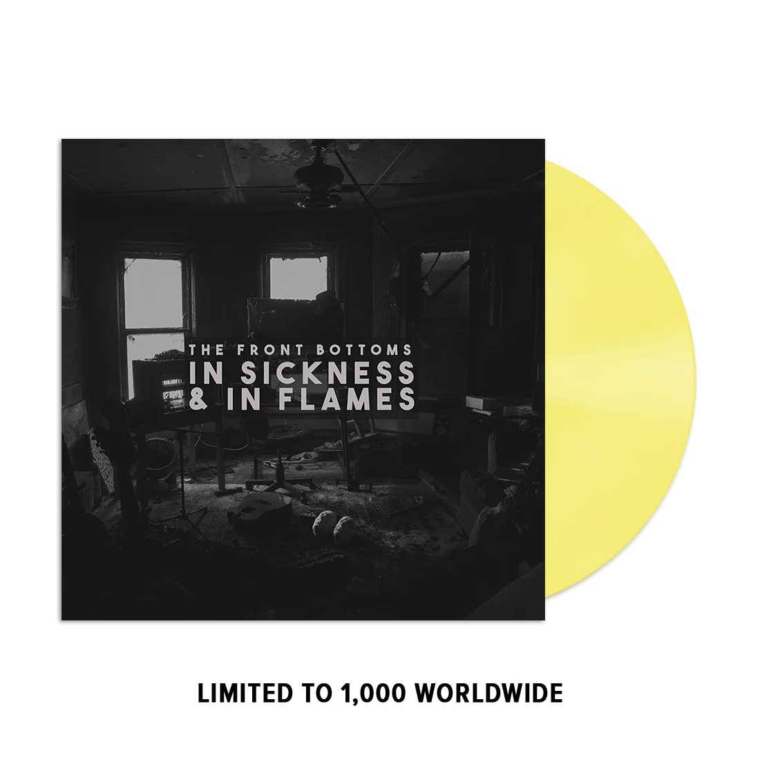 In Sickness & In Flames Vinyl [LP]