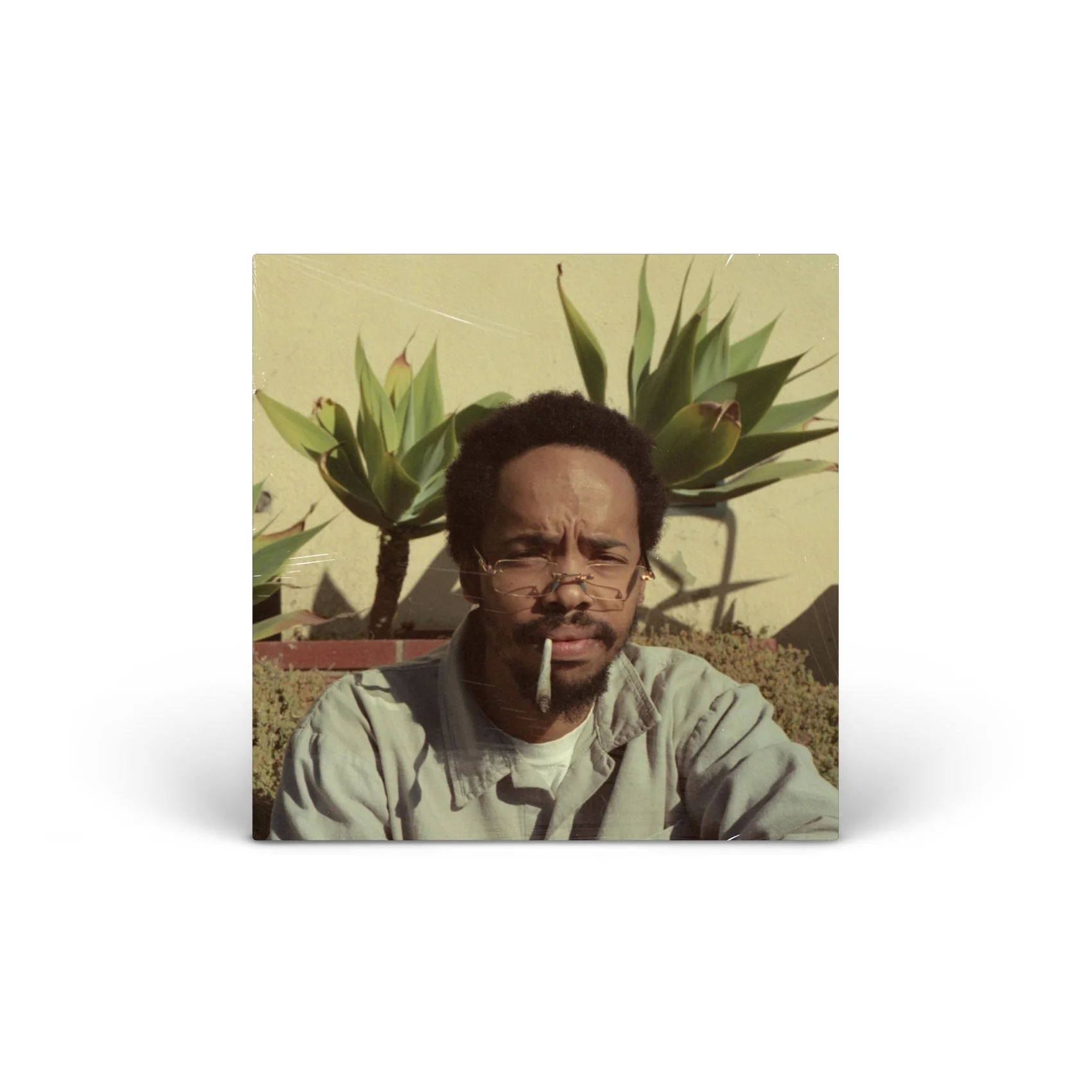 Live Laugh Love Vinyl [LP]