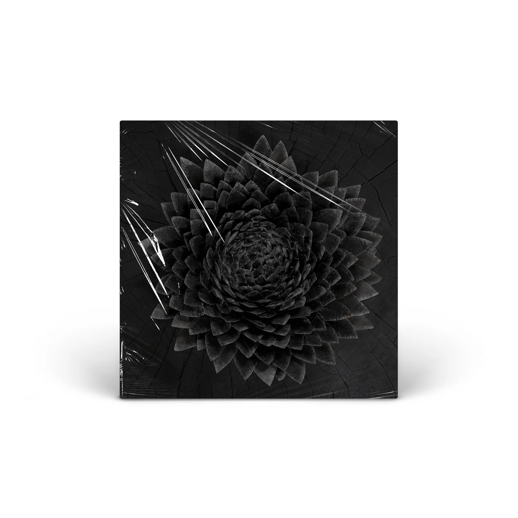 Obsidian Vinyl [2LP]