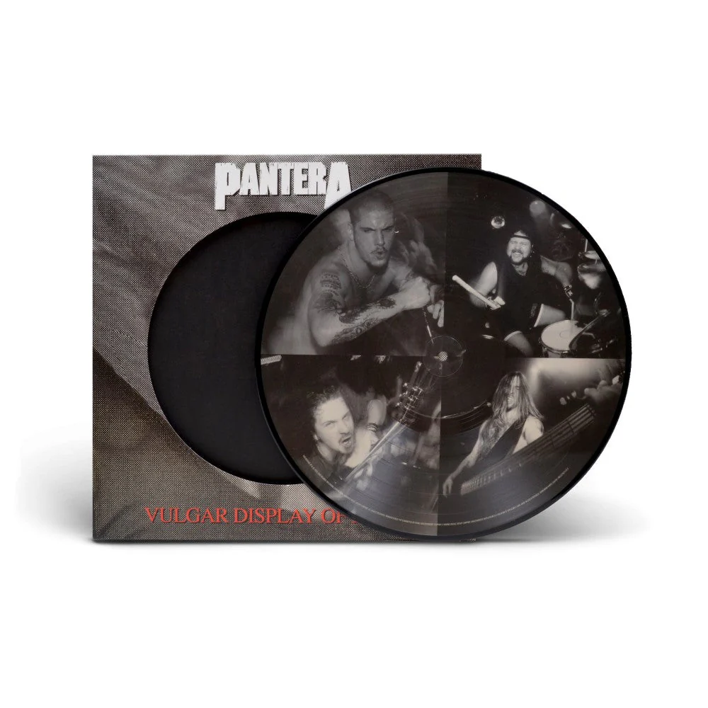 The Complete Studio Albums 1990-2000 (Picture Disc Boxed Set) Vinyl [LP] - Image 10