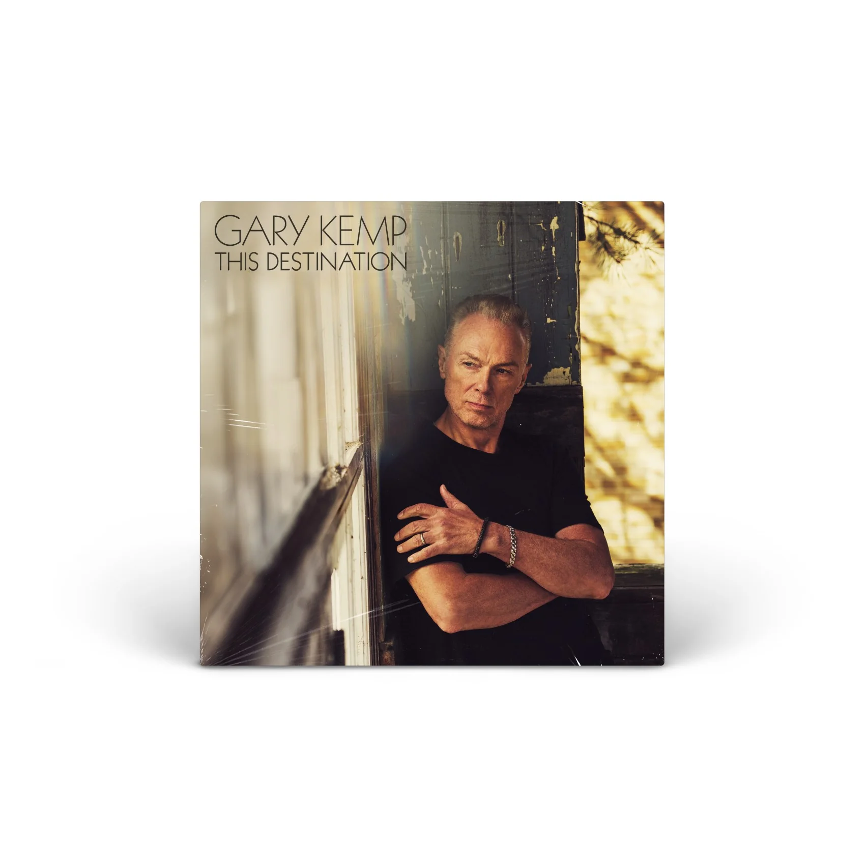 This Destination Vinyl [LP]